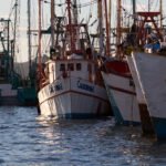 Embarcaciones de pesca de camarón en Topolobampo, Sinaloa.